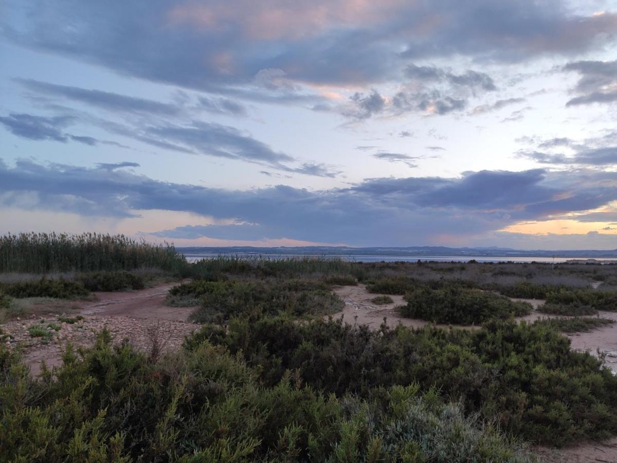 Apartamento Torre Zeus, La Mata, Торевьиа Экстерьер фото